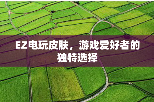 游戏爱好者的独特选择图片