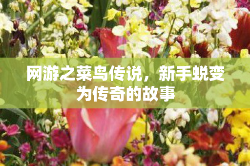 新手蜕变为传奇的故事图片