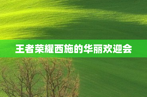 王者荣耀西施的华丽欢迎会图片