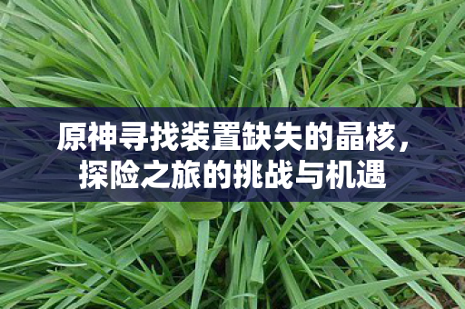 原神寻找装置缺失的晶核图片