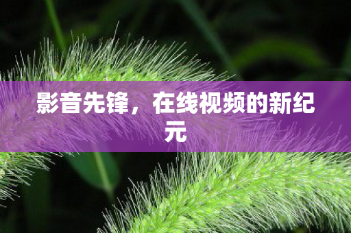 在线视频的新纪元图片
