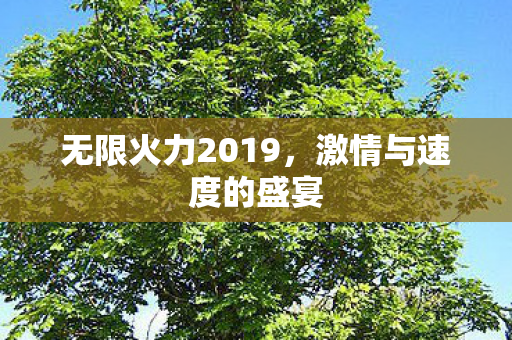 无限火力2019图片