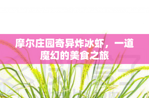 摩尔庄园奇异炸冰虾图片