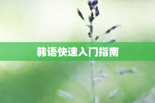 韩语快速入门指南图片