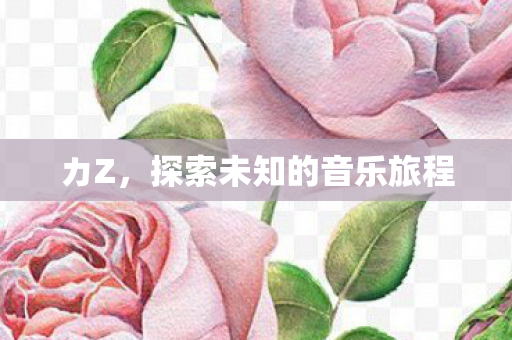 探索未知的音乐旅程图片