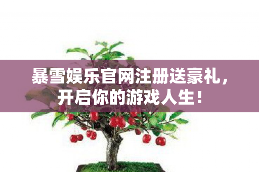 暴雪娱乐官网注册送豪礼图片