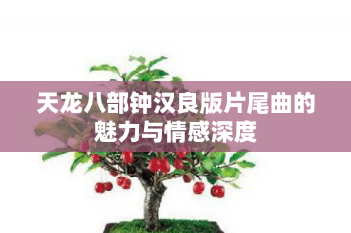 天龙八部钟汉良版片尾曲的魅力与情感深度图片