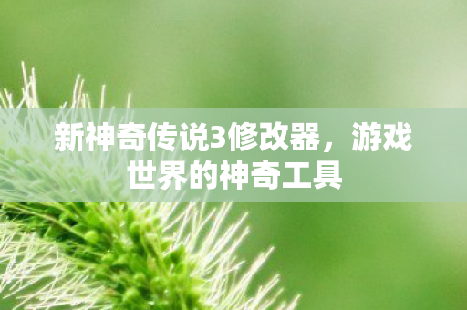 新神奇传说3修改器图片