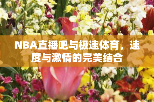 NBA直播吧与极速体育图片
