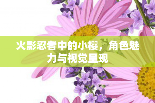 角色魅力与视觉呈现图片