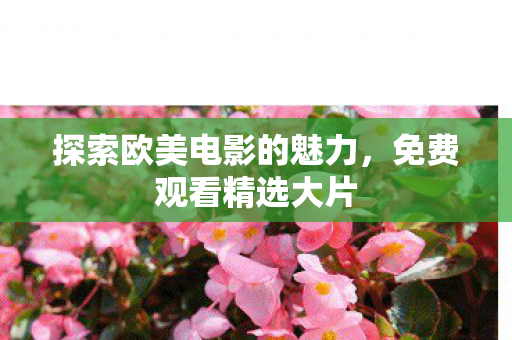 探索欧美电影的魅力图片