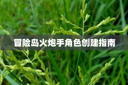 冒险岛火炮手角色创建指南图片
