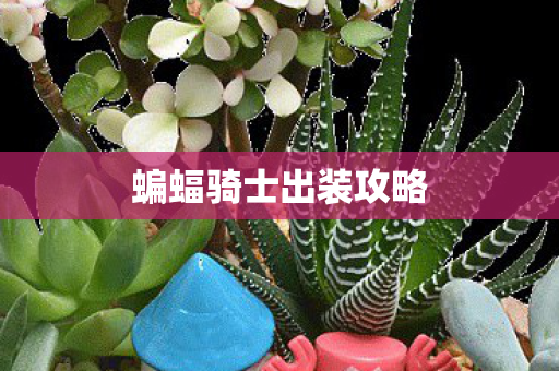 蝙蝠骑士出装攻略图片