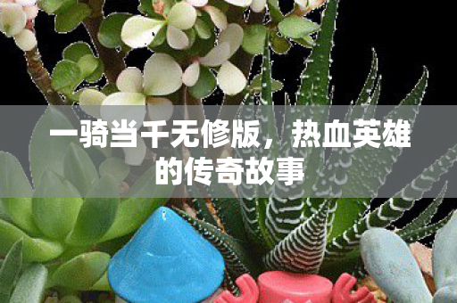 热血英雄的传奇故事图片