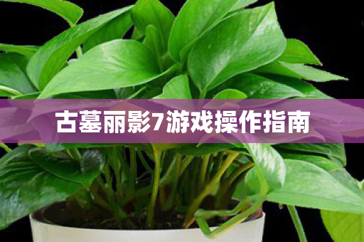 古墓丽影7游戏操作指南图片