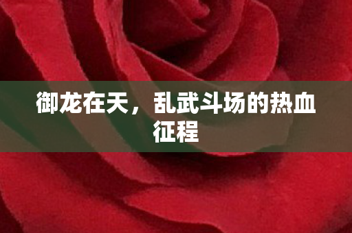 乱武斗场的热血征程图片