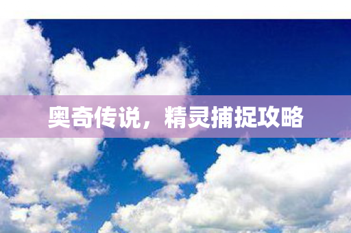 精灵捕捉攻略图片