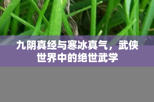 武侠世界中的绝世武学图片