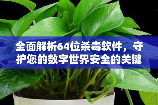 守护您的数字世界安全的关键工具图片