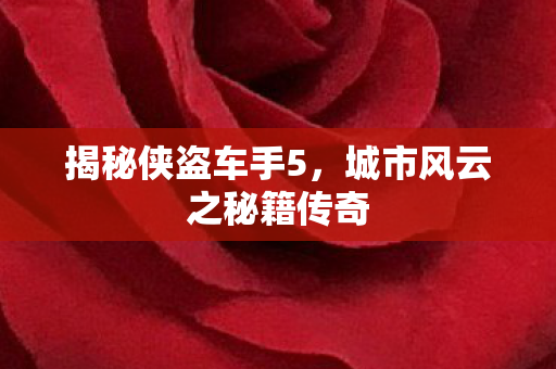 城市风云之秘籍传奇图片