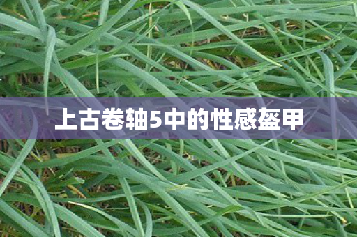 上古卷轴5中的性感盔甲图片