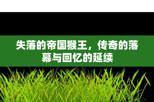 传奇的落幕与回忆的延续图片