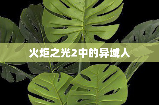 火炬之光2中的异域人图片
