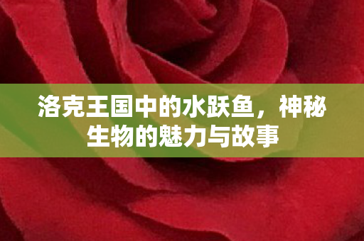 神秘生物的魅力与故事图片