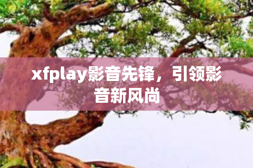 xfplay影音先锋图片