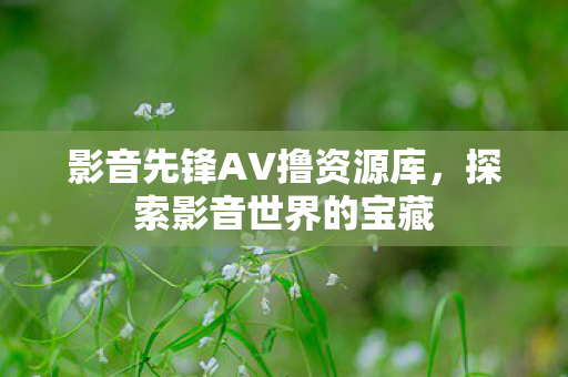 影音先锋AV撸资源库图片