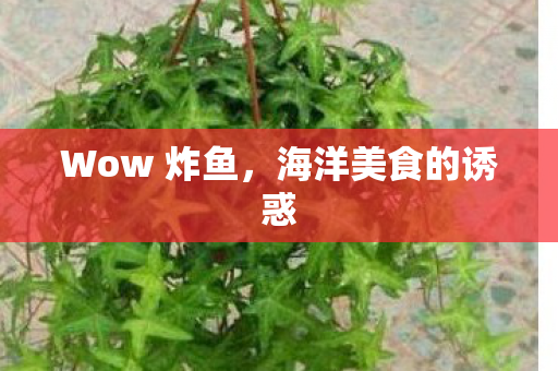 海洋美食的诱惑图片