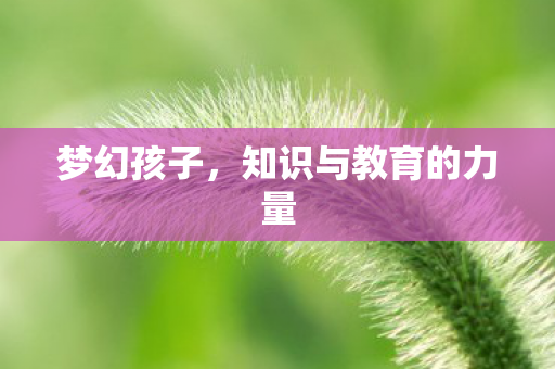 知识与教育的力量图片