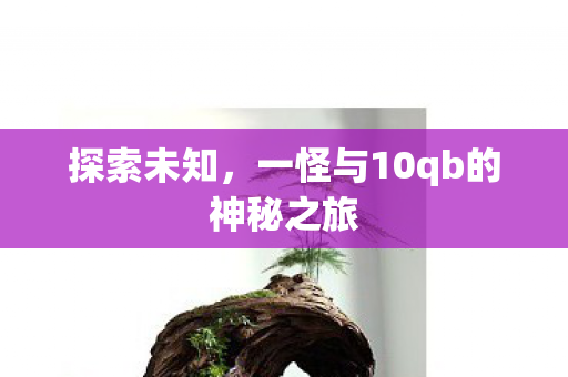 一怪与10qb的神秘之旅图片