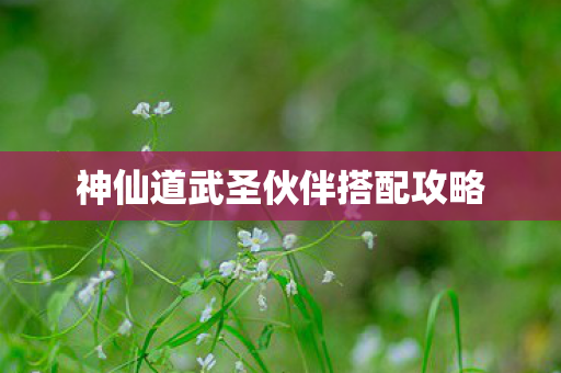 神仙道武圣伙伴搭配攻略图片