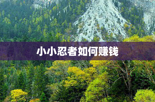 小小忍者如何赚钱图片
