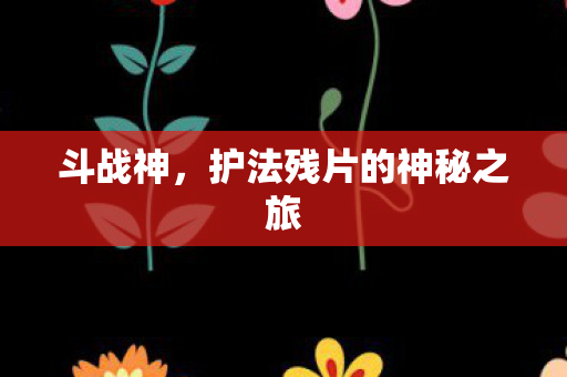 护法残片的神秘之旅图片