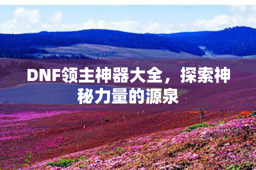 DNF领主神器大全图片