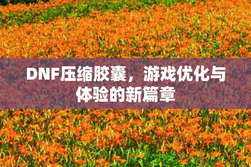 游戏优化与体验的新篇章图片