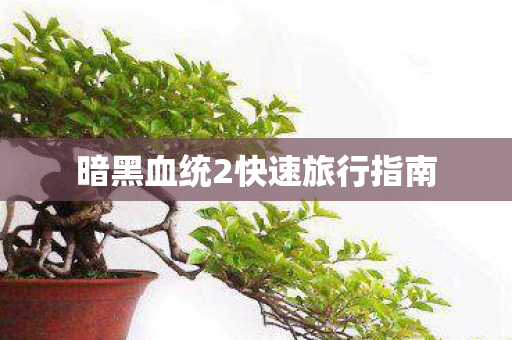 暗黑血统2快速旅行指南图片
