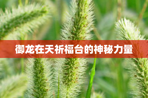御龙在天祈福台的神秘力量图片