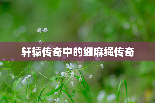 轩辕传奇中的细麻绳传奇图片