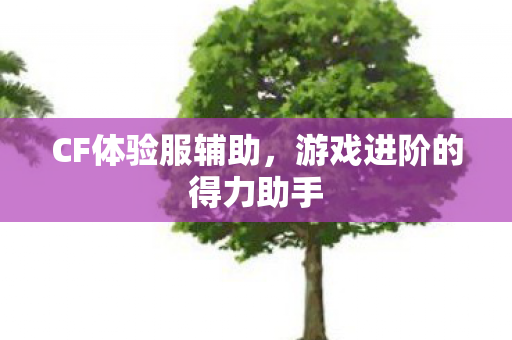 游戏进阶的得力助手图片