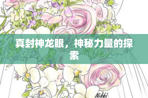 神秘力量的探索图片