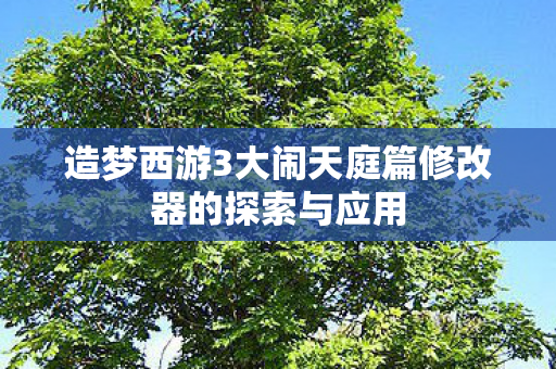 造梦西游3大闹天庭篇修改器的探索与应用图片