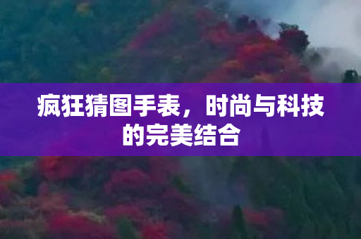 时尚与科技的完美结合图片