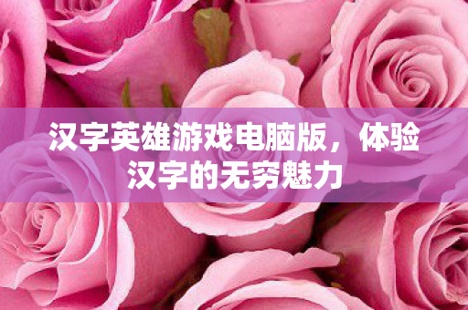 汉字英雄游戏电脑版图片