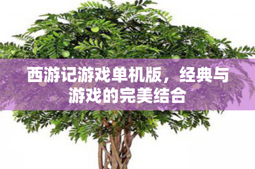 经典与游戏的完美结合图片