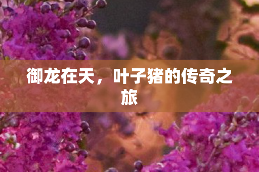 叶子猪的传奇之旅图片