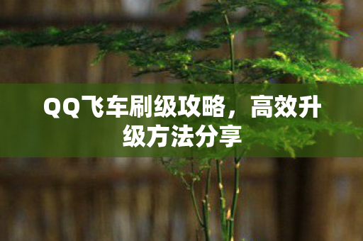 QQ飞车刷级攻略图片