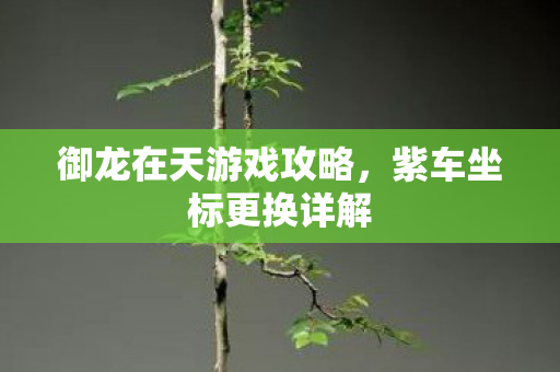 御龙在天游戏攻略图片